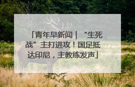青年早新闻｜“生死战”主打进攻！国足抵达印尼，主教练发声
