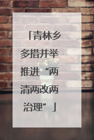 青林乡多措并举推进“两清两改两治理”