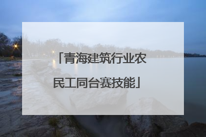青海建筑行业农民工同台赛技能