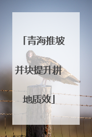 青海推坡并块提升耕地质效