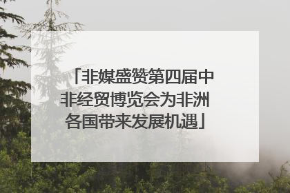 非媒盛赞第四届中非经贸博览会为非洲各国带来发展机遇