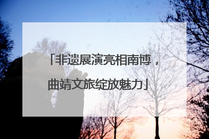 非遗展演亮相南博，曲靖文旅绽放魅力