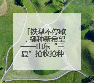 铁犁不停歇，播种新希望——山东“三夏”抢收抢种忙