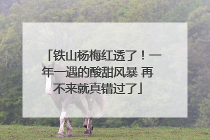 铁山杨梅红透了！一年一遇的酸甜风暴 再不来就真错过了