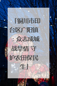 铜川市印台区广阳镇：众志成城战旱情 守护农田保民生