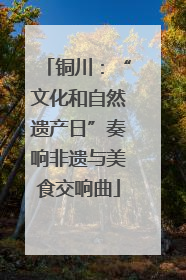 铜川：“文化和自然遗产日”奏响非遗与美食交响曲
