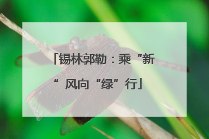 锡林郭勒：乘“新”风向“绿”行