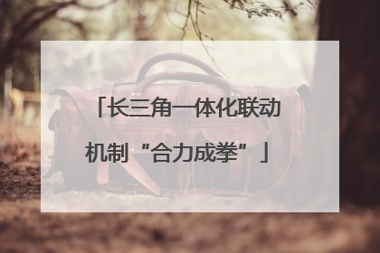 长三角一体化联动机制“合力成拳”