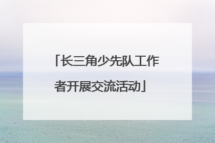 长三角少先队工作者开展交流活动