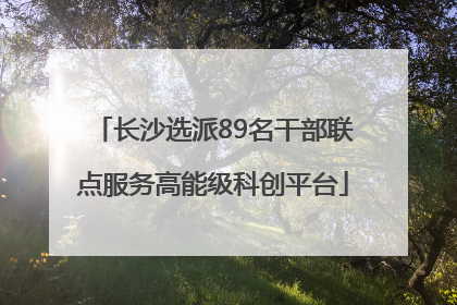 长沙选派89名干部联点服务高能级科创平台