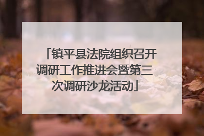 镇平县法院组织召开调研工作推进会暨第三次调研沙龙活动