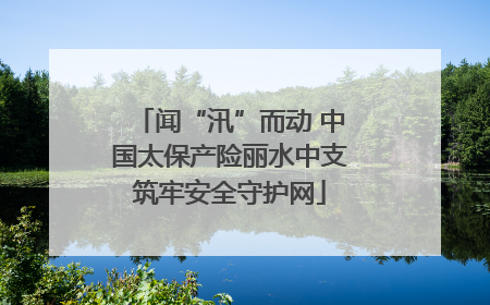 闻“汛”而动 中国太保产险丽水中支筑牢安全守护网