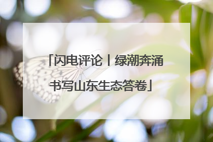 闪电评论丨绿潮奔涌 书写山东生态答卷