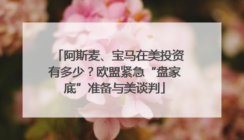 阿斯麦、宝马在美投资有多少？欧盟紧急“盘家底”准备与美谈判