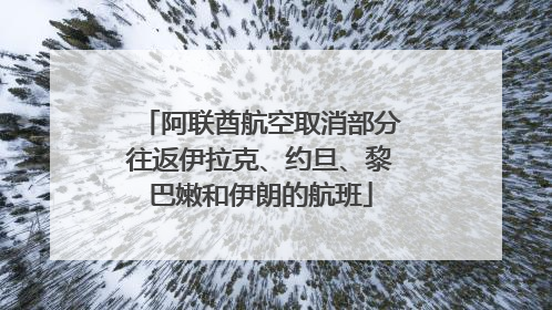 阿联酋航空取消部分往返伊拉克、约旦、黎巴嫩和伊朗的航班