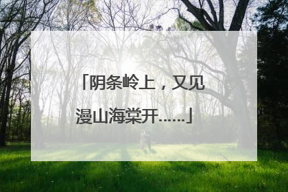 阴条岭上，又见漫山海棠开……