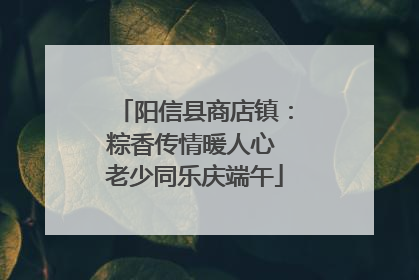 阳信县商店镇：粽香传情暖人心 老少同乐庆端午
