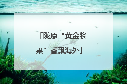 陇原“黄金浆果”香飘海外