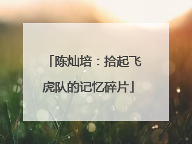 陈灿培：拾起飞虎队的记忆碎片
