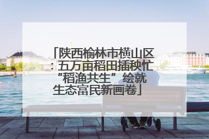 陕西榆林市横山区：五万亩稻田插秧忙 “稻渔共生”绘就生态富民新画卷