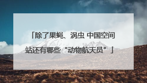 除了果蝇、涡虫 中国空间站还有哪些“动物航天员”