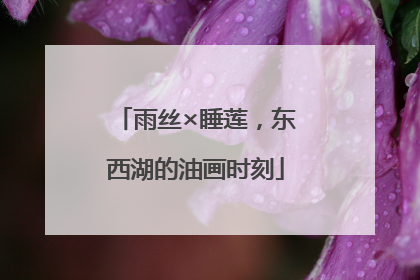 雨丝×睡莲，东西湖的油画时刻