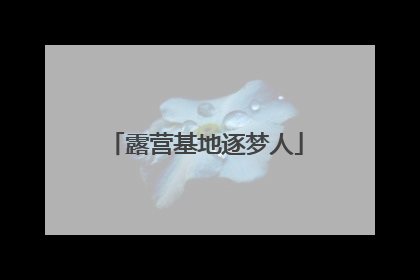 露营基地逐梦人