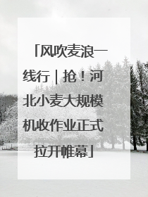 风吹麦浪一线行｜抢！河北小麦大规模机收作业正式拉开帷幕