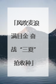 风吹麦浪满目金 奋战“三夏”抢收种