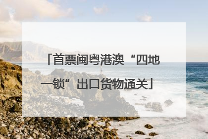 首票闽粤港澳“四地一锁”出口货物通关