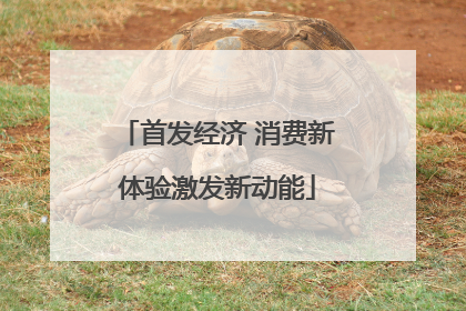 首发经济 消费新体验激发新动能