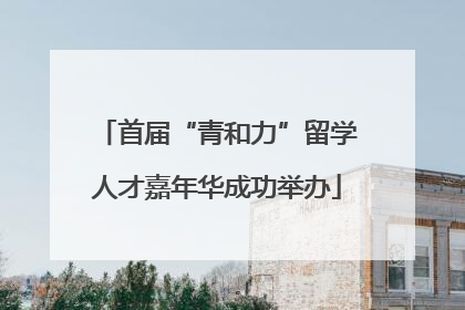 首届“青和力”留学人才嘉年华成功举办