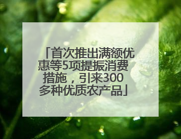 首次推出满额优惠等5项提振消费措施，引来300多种优质农产品