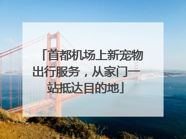 首都机场上新宠物出行服务，从家门一站抵达目的地