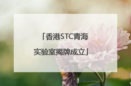 香港STC青海实验室揭牌成立