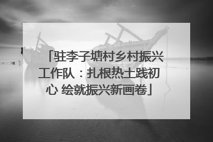 驻李子塘村乡村振兴工作队：扎根热土践初心 绘就振兴新画卷