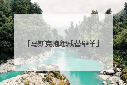 马斯克抱怨成替罪羊