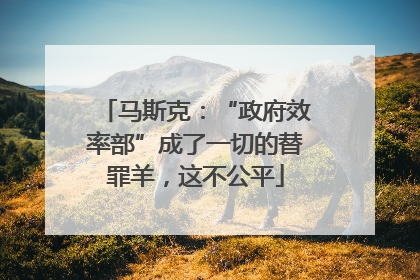 马斯克：“政府效率部”成了一切的替罪羊，这不公平