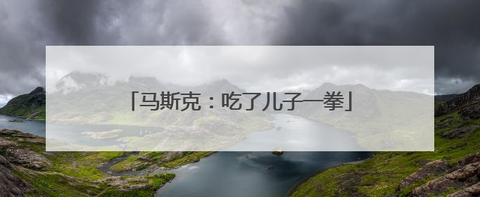 马斯克：吃了儿子一拳