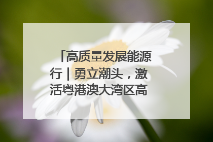 高质量发展能源行｜勇立潮头，激活粤港澳大湾区高质量发展动力源