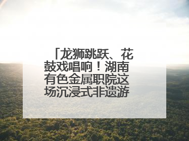 龙狮跳跃、花鼓戏唱响！湖南有色金属职院这场沉浸式非遗游园活动很带感