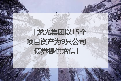龙光集团以15个项目资产为9只公司债券提供增信