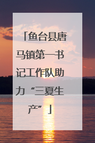 鱼台县唐马镇第一书记工作队助力“三夏生产”