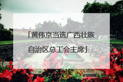 黄伟京当选广西壮族自治区总工会主席