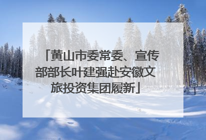 黄山市委常委、宣传部部长叶建强赴安徽文旅投资集团履新