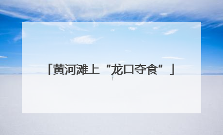 黄河滩上“龙口夺食”