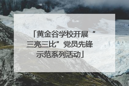 黄金谷学校开展“三亮三比”党员先锋示范系列活动