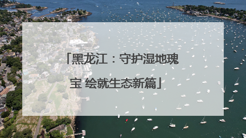 黑龙江：守护湿地瑰宝 绘就生态新篇