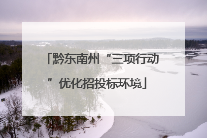 黔东南州“三项行动”优化招投标环境