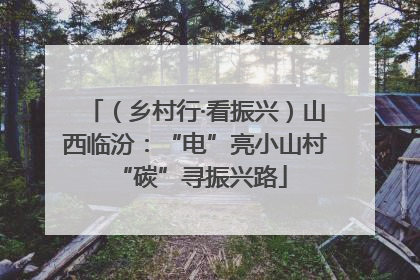 （乡村行·看振兴）山西临汾：“电”亮小山村 “碳”寻振兴路